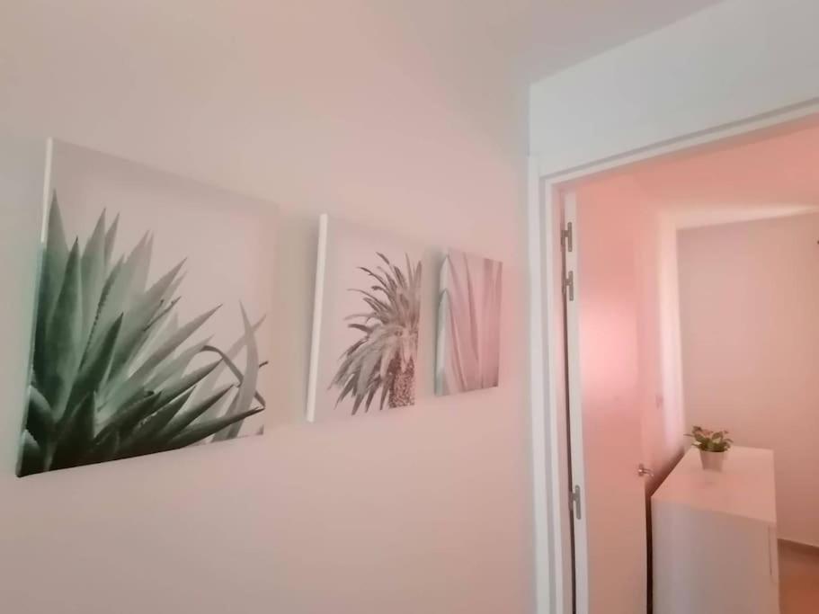 Appartement Casa Mar