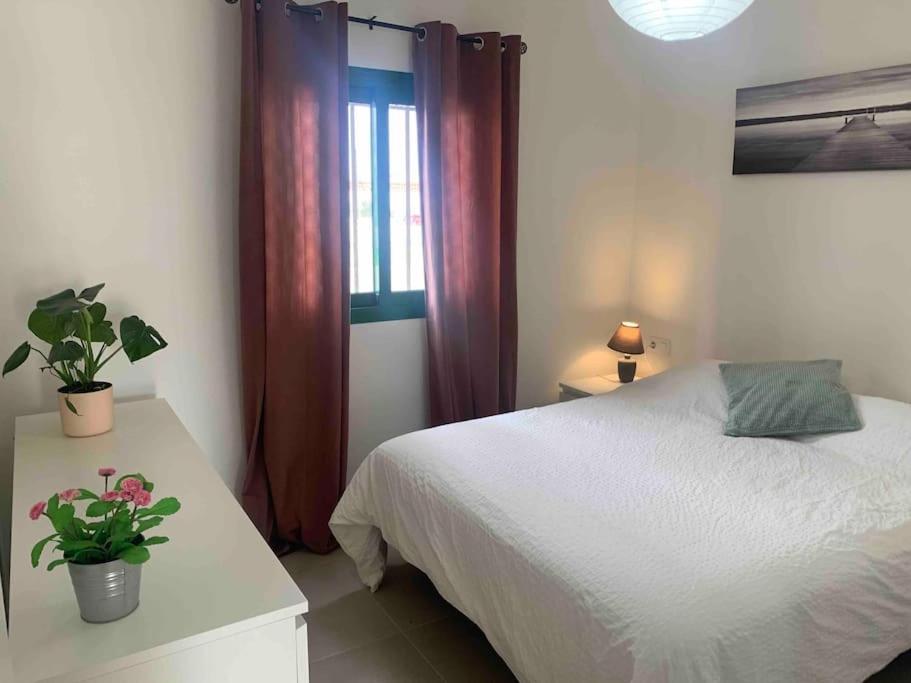 Casa Mar Appartement *